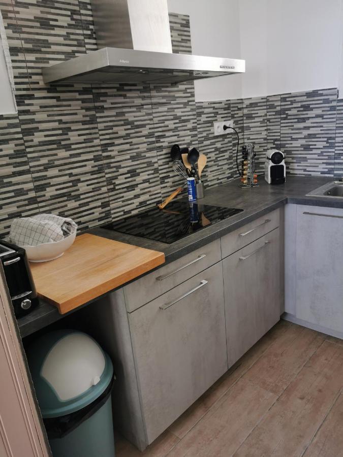 Spacieux Appartement Front De Mer Сент-Мари-де-ла-Мер Экстерьер фото